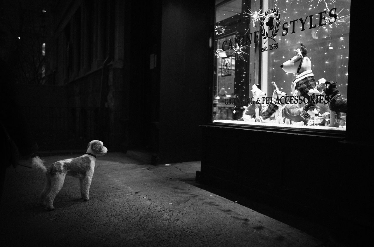 Leica Galerie Milano ospita la mostra "A Street Diary" di Phil Penman, a cura di Giada Triola.