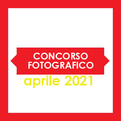 Concorso fotografico #scattaunafoto Concorso fotografico #scattaunafoto