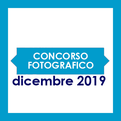 Annual Photography Awards 2019