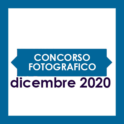 10° Concorso fotografico “SHAPES“