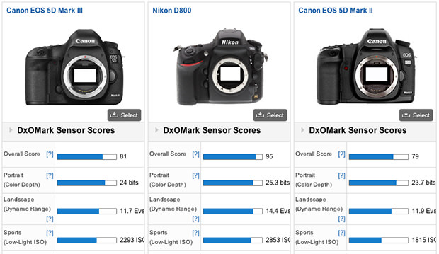 Il sensore della 5D MKIII a confronto con D800 - Curiosità