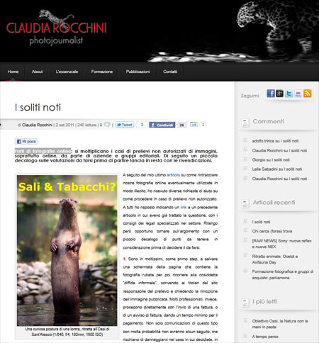 Furti di fotografie online: cosa fare - Guide e Tutorial