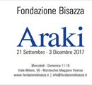 Araki - Mostre