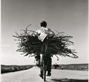 Fulvio Roiter. Fotografie 1948 - 2007 - Mostre