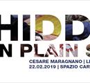 Hidden in Plain Sight - Mostre