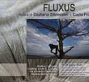 Fluxus - Giuliana Silvestrini e Carlo Franchini - Mostre
