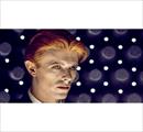 David Bowie | Steve Schapiro: America. Sogni. Diritti - Mostre