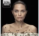 SIENA AWARDS FESTIVAL 2022 - Apertura straordinaria - Mostre