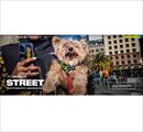 "Street Photography Awards 2023" di LensCulture