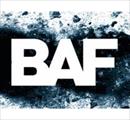 BAF - Bergamo ARTEFIERA - Non solo fotografia