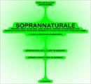 SOPRANNATURALE | cŏrpus et anĭmus a cura di Giovanna Gammarota - Mostre
