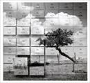 Marcello Vigoni "Multiverso. La natura come contemporaneità" - Mostre