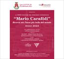 XXXIX Concorso Fotografico "Mario Carafòli " - Corinaldo  (AN) - Concorsi
