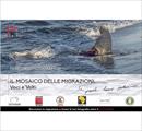 Concorso fotografico internazionale "Il mosaico della migrazione. Voci e volti" - Concorsi