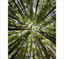Concorso fotografico FiTo 2024 - Settima edizione del Concorso fotografico all’Orto e Museo Botanico - Concorsi
