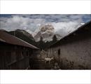 Forests seen from space - Echoes of the Vaia storm - Mostre