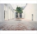 Un piede nell’Eden. Luigi Ghirri e altri sguardi. Giardini in Europa e L’Architettura degli Alberi - Mostre