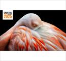 Creative Photo Awards 2025 - Concorsi