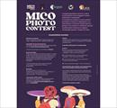 Mico photo contest - Concorsi