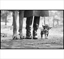 Elliott Erwitt. L