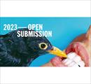 Belfast Photo Festival: 2023 Open Submission